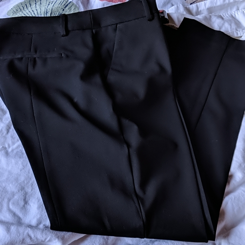 Express Columnist Dress Pant
